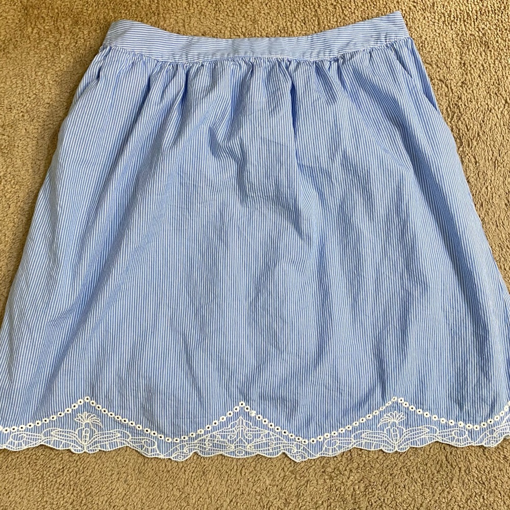 Wet Seal pinstripe skirt